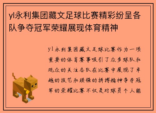 yl永利集团藏文足球比赛精彩纷呈各队争夺冠军荣耀展现体育精神